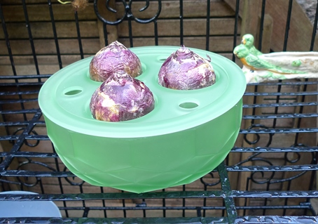 Davidson bulb bowl